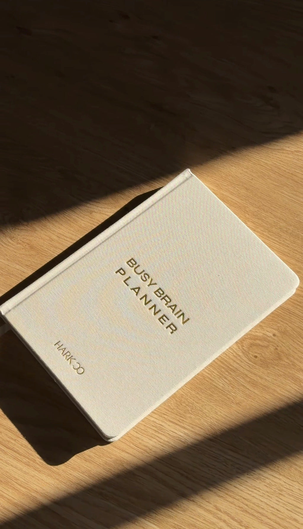The Busy Brain Planner